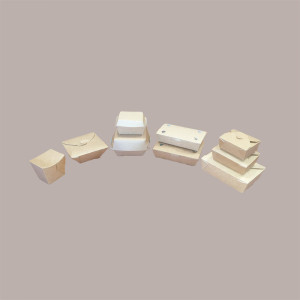 50 Pz Scatola Contenitore Asporto Noodle Box L Carta BIO 700Ml [30b567c3]