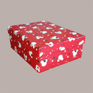 2 Pz Scatola Baule+Coperchio Carta Mickey's Disney 455x320H150 [fc74bdd1]