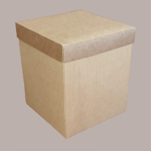 5 Pz Scatola Baule+Coperchio Carta Onda Avana 250x250H200 mm [d6fbabdb]