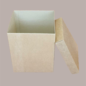 5 Pz Scatola Baule+Coperchio Carta Onda Avana 250x250H200 mm