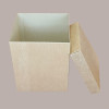 5 Pz Scatola Baule+Coperchio Carta Onda Avana 250x250H200 mm [0fdde8d6]