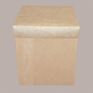 5 Pz Scatola Baule+Coperchio Carta Onda Avana 250x250H200 mm [b8c029d2]