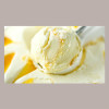 Porzionatore a Molla Palline Gelato Acciaio Dm48mm Martellato [b8cd30c9]