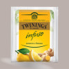 20 Pz Filtri Infusi Collection 5 Gusti Diversi Spezie Erbe TWININGS [60c3d205]