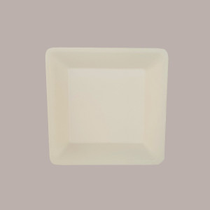 50 Piatto Biodegradabile Eco Quadrato 26x26 Carta Polpa Cellulosa [6f06fe1b]