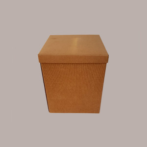 5 Pz Scatola Baule+Coperchio Carta Onda Avana 250x250H300 mm [10f15071]