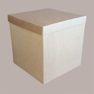 5 Pz Scatola Baule+Coperchio Carta Onda Avana 250x250H300 mm [827d8327]