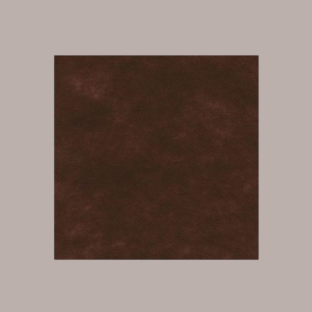 25 Pz Tovaglia TNT Marrone Scuro Monouso 45 gr 100x100 [ff7f8982]