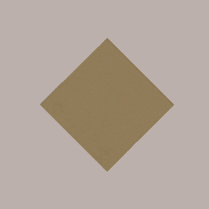 25 Pz Tovaglia TNT Tessuto non Tessuto Nocciola 45 gr 100x100 [42c2c6ba]