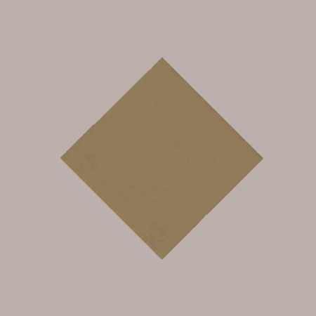 25 Pz Tovaglia TNT Tessuto non Tessuto Nocciola 45 gr 100x100 [42c2c6ba]