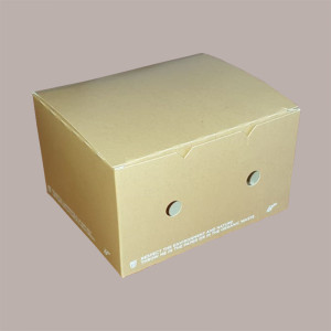 100 Porta Crocchette Piccolo Fritti Asporto Avana BIO 120x100H70 [2925cd26]