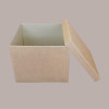 5 Pz Scatola Baule+Coperchio Carta Onda Avana 200x200H230 mm [348fce5c]