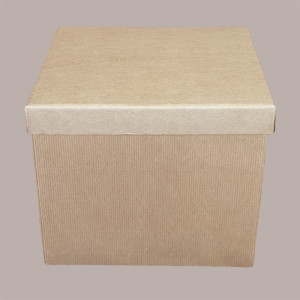 5 Pz Scatola Baule+Coperchio Carta Onda Avana 200x200H230 mm [3f6cf1d3]