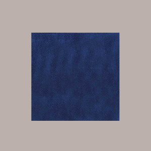 100 Pz Tovagliette TNT Tinta Unita Blu Notte Monouso 33x45 [4d851259]