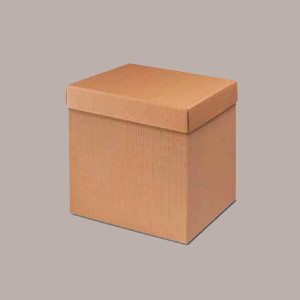 1 Pz Scatola Baule con Coperchio in Carta Onda Avana 39x29H33 [4f3b2406]