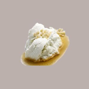 1,2 Kg Preparato in Polvere Easy al Gusto di Ricotta Gelato Leagel
