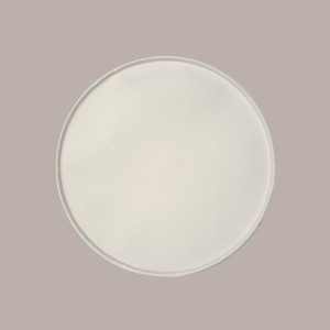 25 Pezzi Piatto Bio Eco Pizza Dm33 in Carta Polpa Pura Cellulosa [327eb223]
