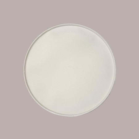 25 Pezzi Piatto Bio Eco Pizza Dm33 in Carta Polpa Pura Cellulosa [327eb223]