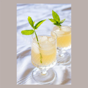 740 gr Sciroppo per Granita Gusto Limone&Zenzero Zero Calorie Senza Zuccheri Toschi [0244c1a1]