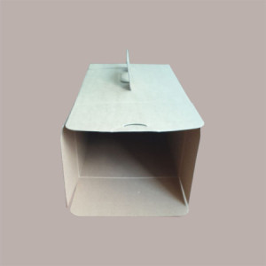 10 Pz Valigetta asporto Grande Cadeaux Manico Carta Avana [cd29ec4a]