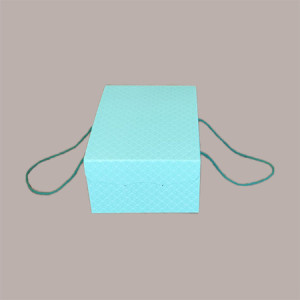 5 Pz Scatola per Confezioni Regalo Porta Colomba di Pasqua 500g in Carta Verde Segreto con Cordini 210x270H120mm