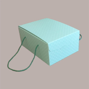 5 Pz Scatola per Confezioni Regalo Porta Colomba di Pasqua1000g in Carta Verde Segreto con Cordini 235x335H140mm [1cebea4f]