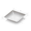 100 Pz Monoporzione Vassoietto Quadrato Finger Food Polpa di Cellulosa Bio 65x65x12 mm [5ff4b3f3]
