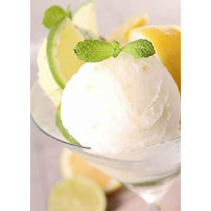 1,25 Preparato in Polvere per Gelato Easy Gusto Limone Bon Bon Leagel