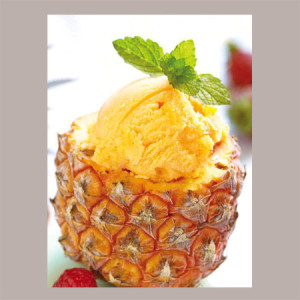 1,25 Kg Easy Gusto Ananas Preparato in Polvere ideale per Gelato Leagel