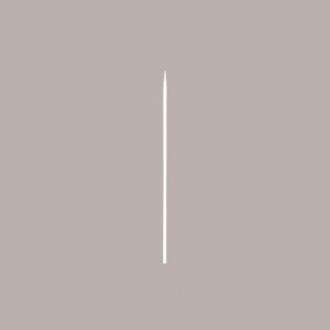 1000 Pz Spiedino Lungo 1 Punta Legno Bambù 150 mm Food [0d0374f5]
