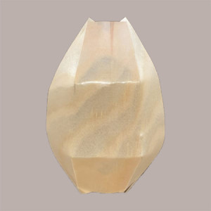 100 Pz Barchetta Palma Grande Finger Food Aperitivo 220x115mm [908404f6]