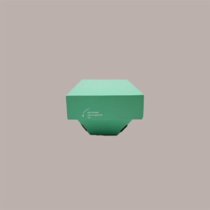 30 Pz Vaschetta per Gelato PaperGel Verde 350 gr Totalmente in Carta [1a0d5b71]