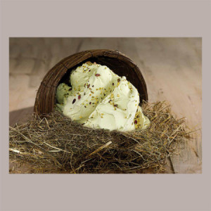 Macchina Mantecatore Professionale per Gelato Fabbri con Starter Kit Omaggio