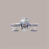 600 g Couvette Amarena in Latta con 2 Coppette in Ceramica Decorate Fabbri [ece44315]