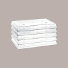 Set Total IGloo Vassoio e Coperchio Trasparente da Esposizione 60x40H8,5 cm [9eb5886d]