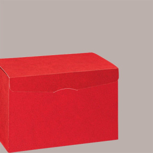 5 Pz Scatola per Confezioni Regalo Maxi in Carta Grafica Pelle Rossa Segreto 300x300x240mm