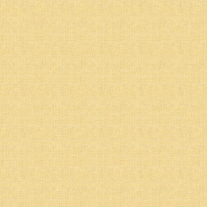 25 Pz Tovaglia in Carta Airlaid Mono Fabric Ambra 100x100 cm [f68973ab]