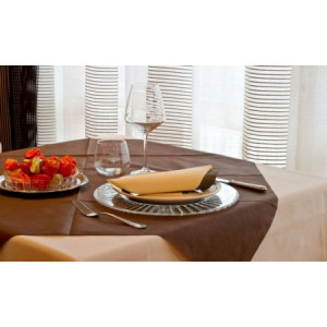 Tovaglia Tessuto non Tessuto TNT Bianca 45 gr 140x140 cm 25 Pezzi [1fec7c94]