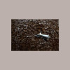 Gocce di Cioccolato Fondente Medie ideali per cottura Callebaut 10 Kg [23714026]
