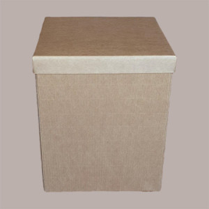 Scatola Baule con Coperchio Carta Onda Avana 300x300H300 mm 5 Pezzi