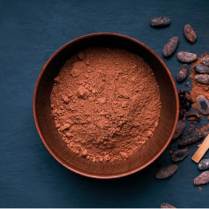 Cacao Amaro 20 22 per Preparazioni Dolciarie e Gelati Pernigotti 1 kg