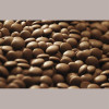 Cioccolato Fondente di Copertura 811 in Bottoni Callebaut 400 gr [9cfe9daa]