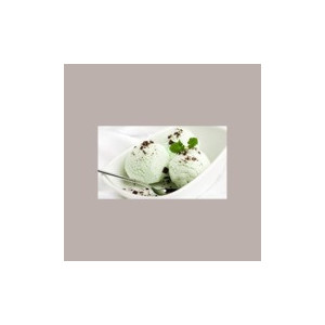 Pasta Concentrata al Gusto Menta Bianca Linea Gold ideale per Gelato Dolci Leagel 3,5 Kg [d1dacaa1]