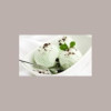Pasta Concentrata al Gusto Menta Bianca Linea Gold ideale per Gelato Dolci Leagel 3,5 Kg [d1dacaa1]