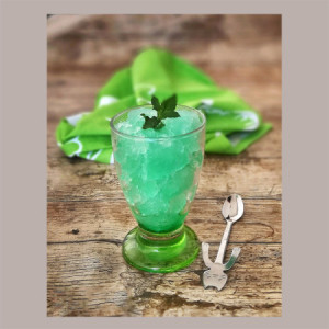 Sciroppo per Granita Gusto Menta Grande Consumo Toschi 3 Kg [6cca36d9]