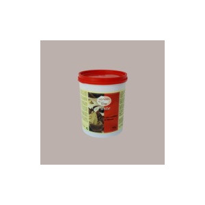 Pasta Gusto Croccantino al Rhum ideale per Gelato Dolci Leagel 1,2 Kg