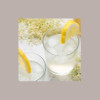 Sciroppo per Granita Piccolo Gusto Fiori di Sambuco Toschi 740 gr [486a2895]