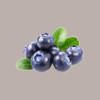 Variegato gusto Mirtillo con Pezzi Salsa per Gelato Yogurt Dessert Leagel 2 Kg [0be953fe]