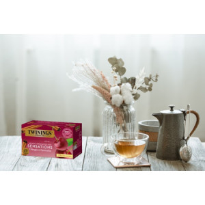 Filtri Bustine Infuso Aromatizzato Ciliegia e Cannella TWININGS 20 Filtri