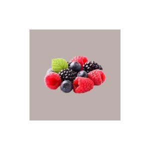 Sciroppo Concentrato per Granita Gusto Frutti di Bosco Mixybar Fabbri 1,3 Kg [e24de1d5]